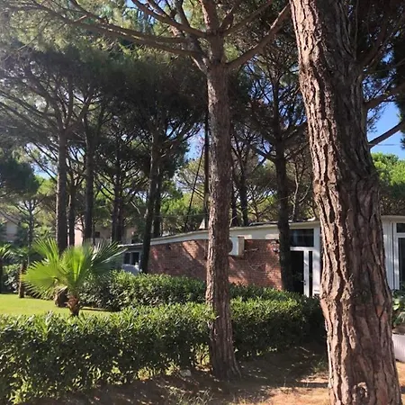 Seaview Apartment-qerret Apartment